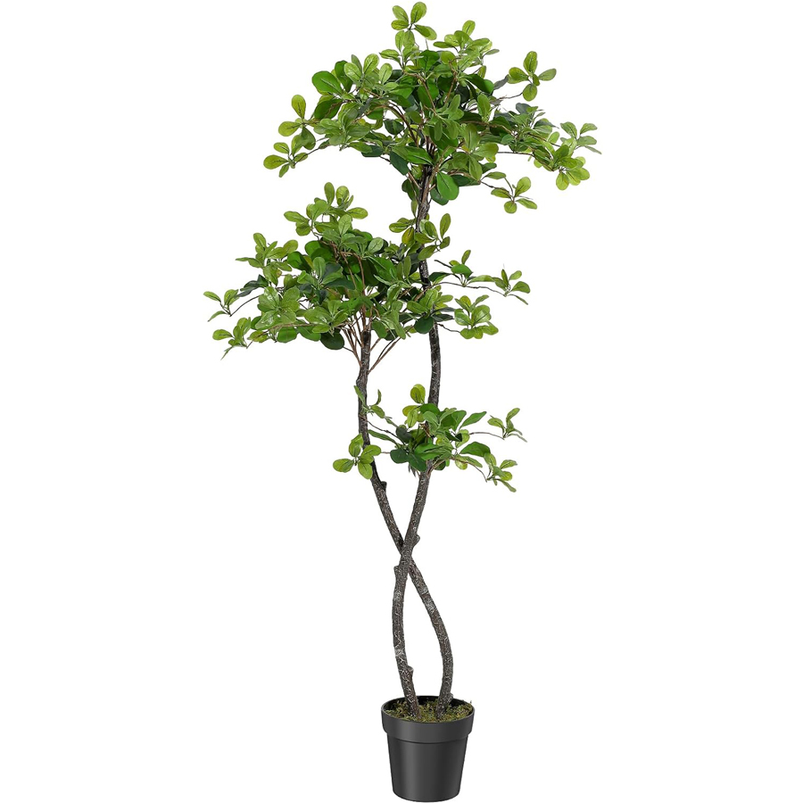 Baby Nursery Home - Plantas Artificiais para Interiores, Oliveira Preta
